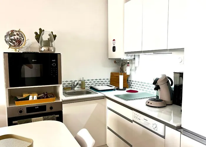 Le Meissonnier Bright With Terrace * Antibes